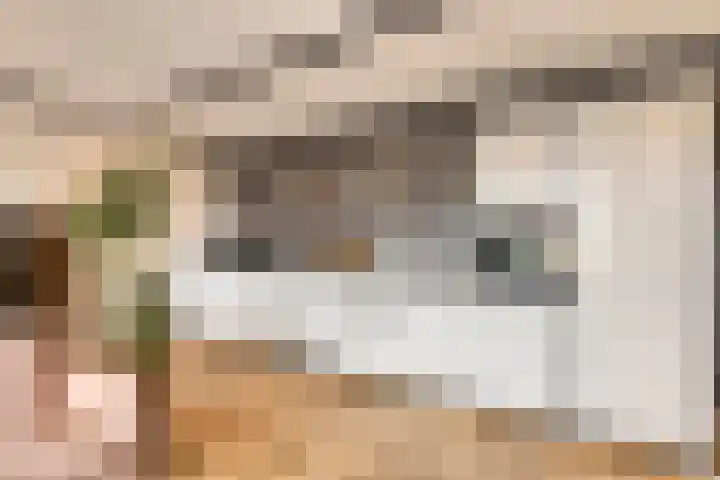 Dijkgraaf 30 Zierikzee thumbnail 5