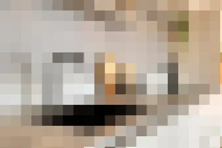 Dijkgraaf 30 Zierikzee thumbnail 6