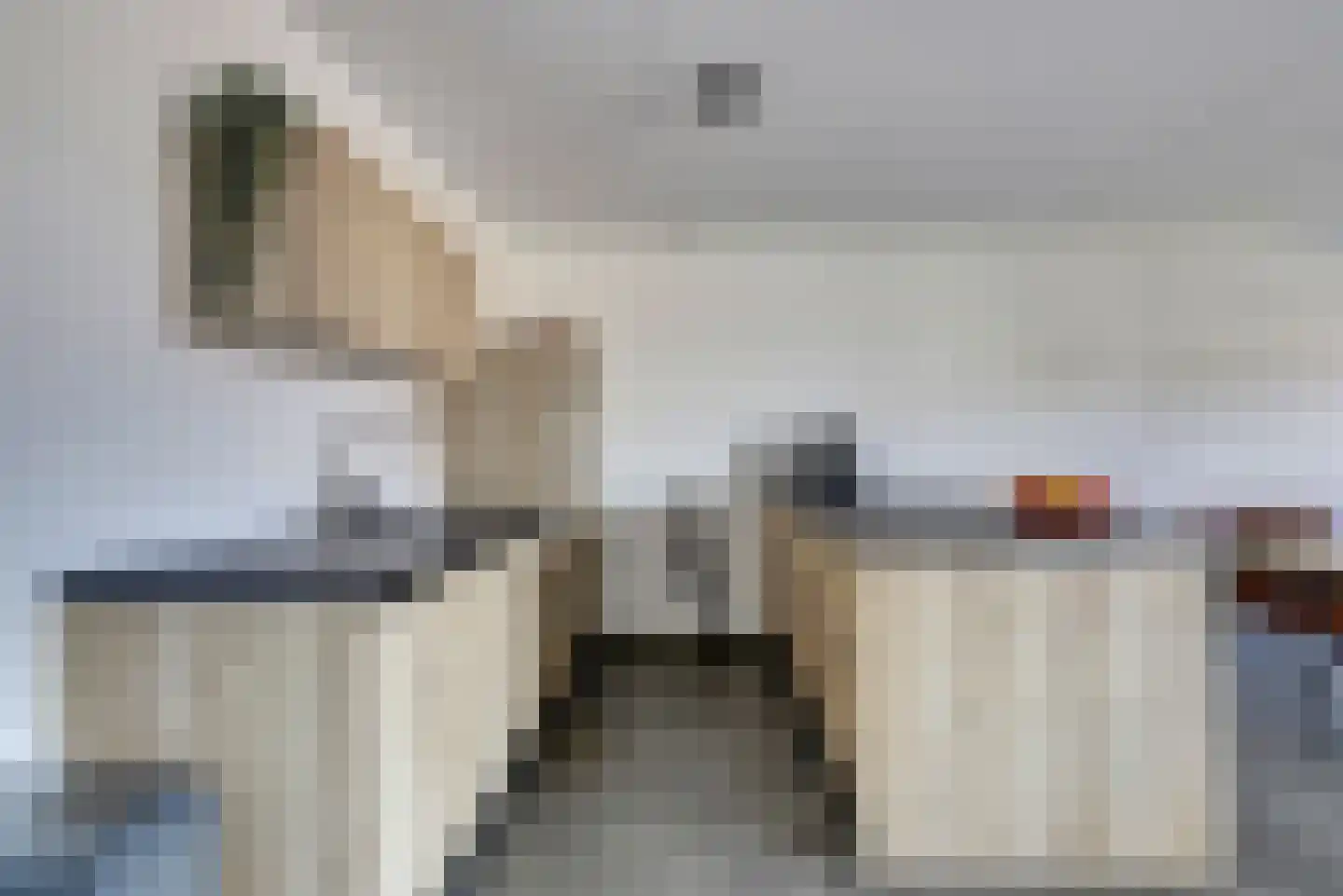 Dijkgraaf 34 Zierikzee thumbnail 17