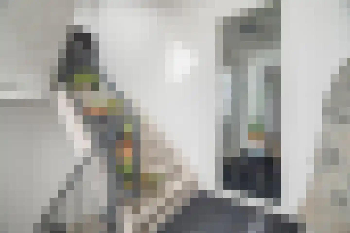 Dijkgraaf 4 Spaarndam thumbnail 14