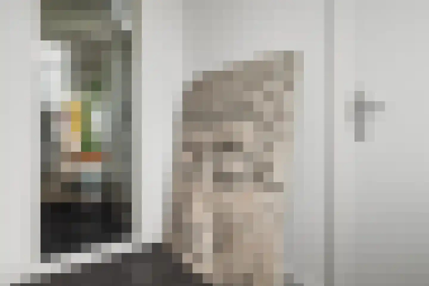 Dijkgraaf 4 Spaarndam thumbnail 15