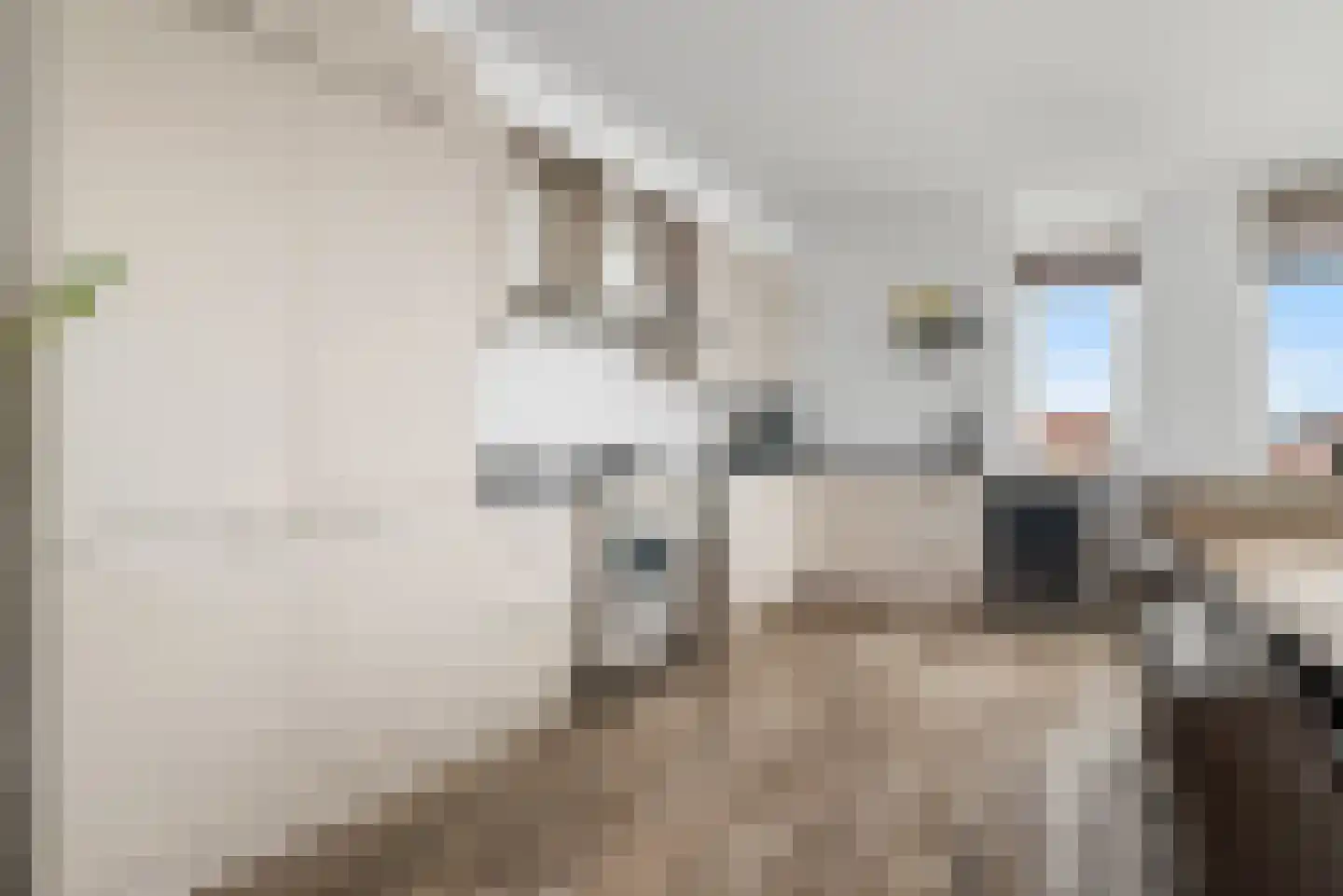 Dijkgraaf 4 Spaarndam thumbnail 25
