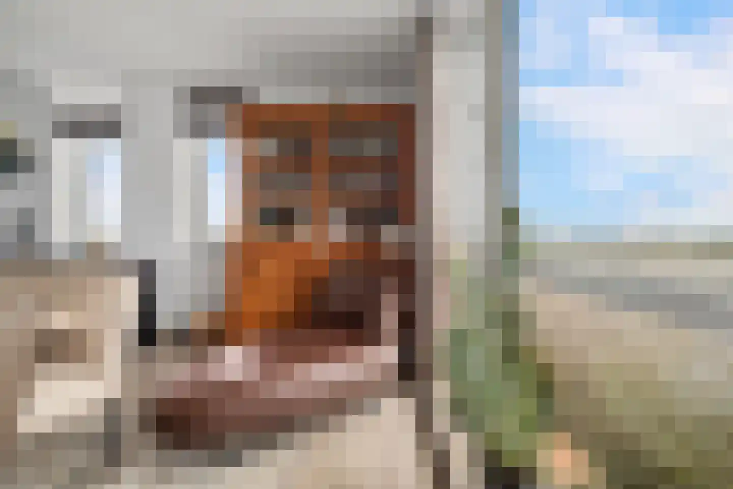 Dijkgraaf 4 Spaarndam thumbnail 28