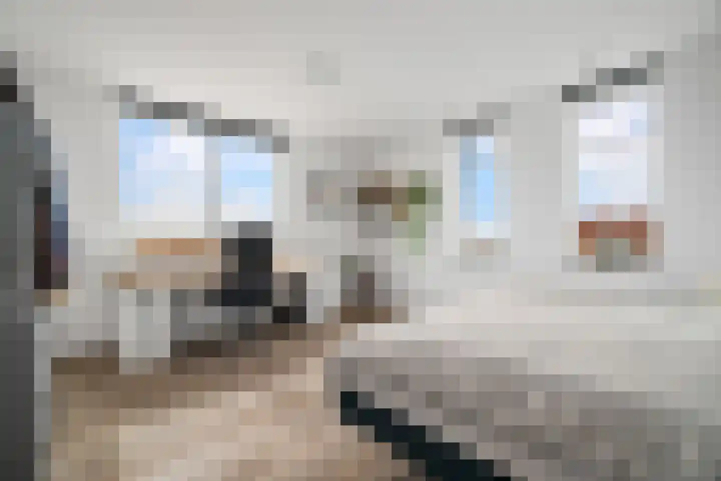 Dijkgraaf 4 Spaarndam thumbnail 46