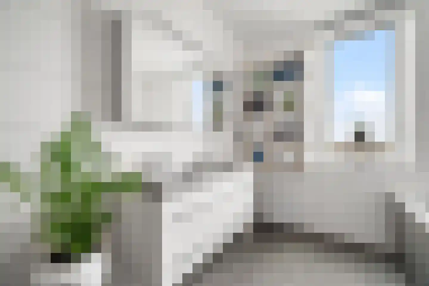 Dijkgraaf 4 Spaarndam thumbnail 51