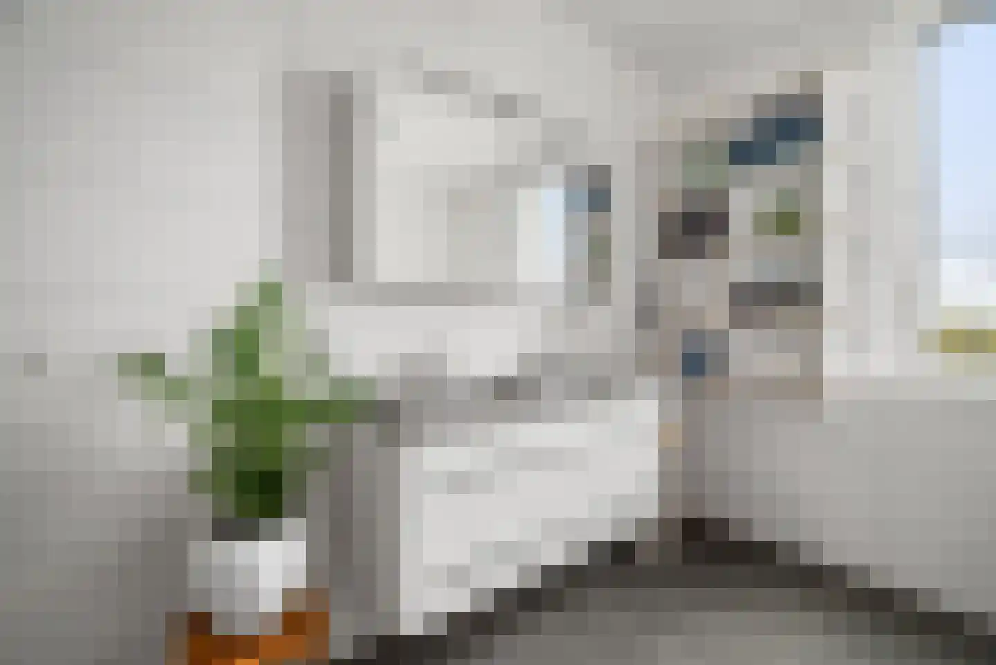 Dijkgraaf 4 Spaarndam thumbnail 53