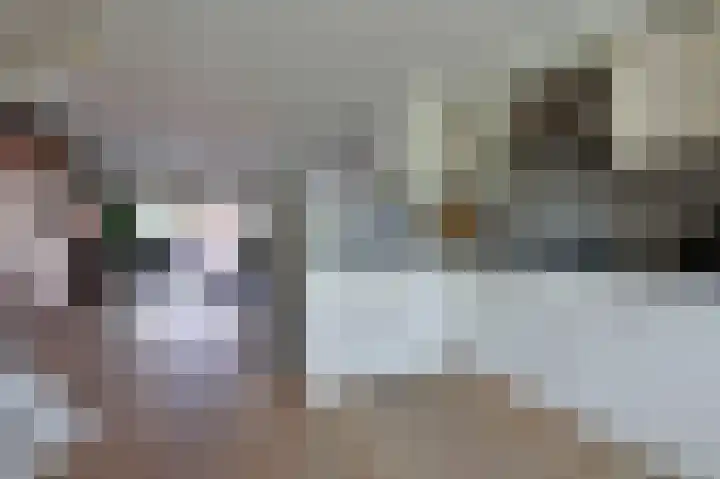 Dijkgraaf 53 Zwaag thumbnail 10
