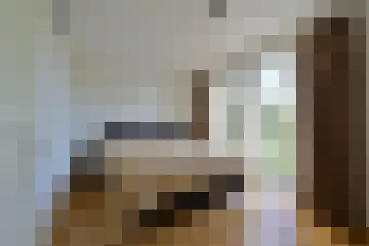 Dijkgraaf 53 Zwaag thumbnail 14