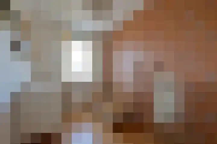 Dijkgraaf 53 Zwaag thumbnail 16