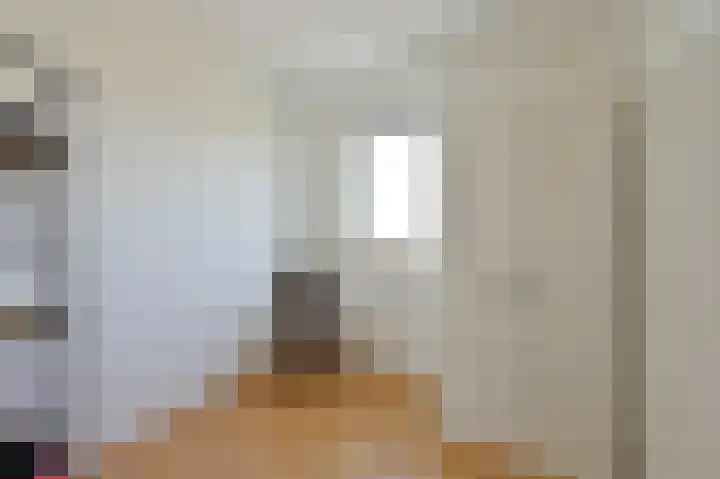 Dijkgraaf 53 Zwaag thumbnail 17