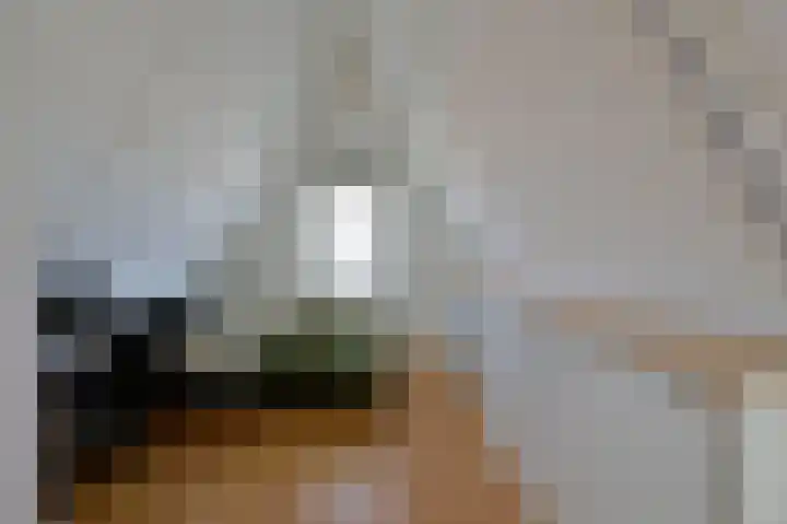 Dijkgraaf 53 Zwaag thumbnail 19