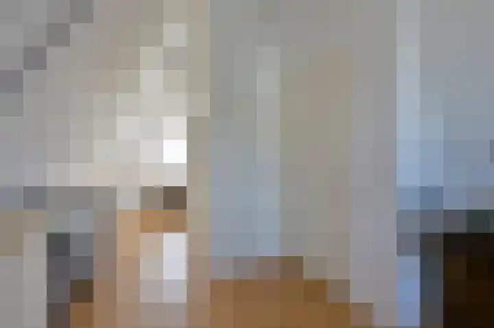 Dijkgraaf 53 Zwaag thumbnail 20