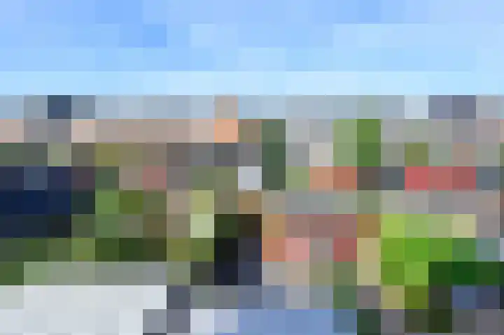 Dijkgraaf 53 Zwaag thumbnail 22