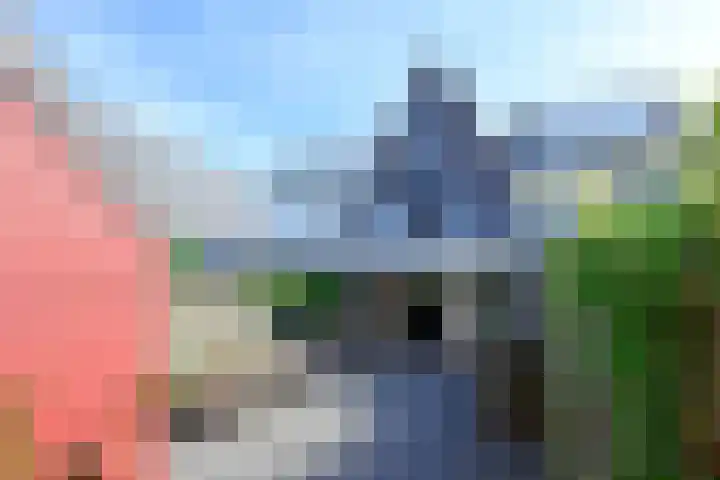 Dijkgraaf 53 Zwaag thumbnail 24