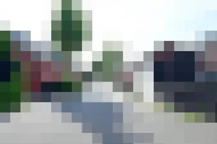 Dijkgraaf 53 Zwaag thumbnail 25
