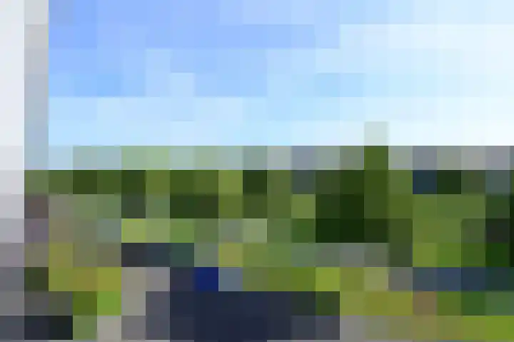 Dijkgraaf 53 Zwaag thumbnail 26