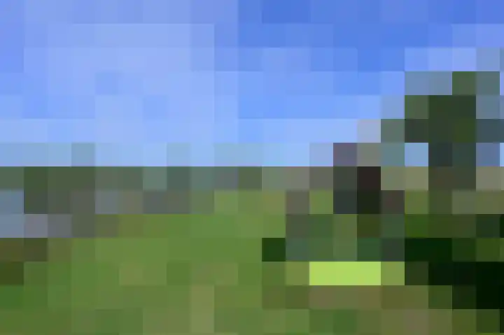 Dijkgraaf 53 Zwaag thumbnail 27