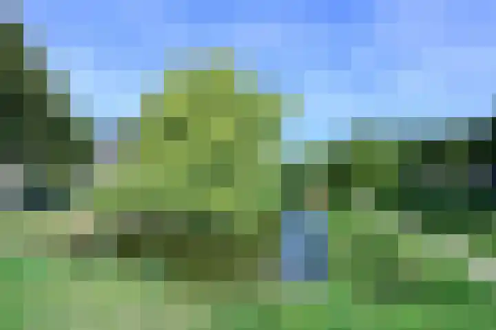 Dijkgraaf 53 Zwaag thumbnail 28