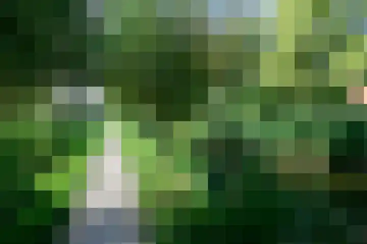 Dijkgraaf 53 Zwaag thumbnail 29