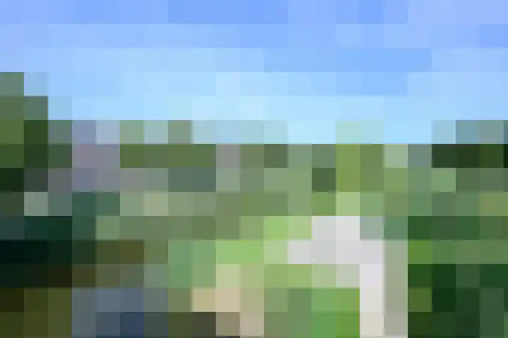 Dijkgraaf 53 Zwaag thumbnail 30