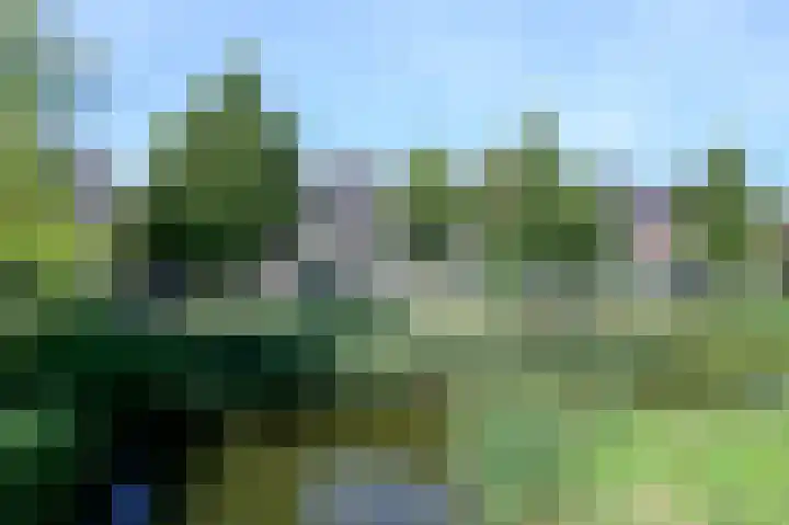 Dijkgraaf 53 Zwaag thumbnail 31