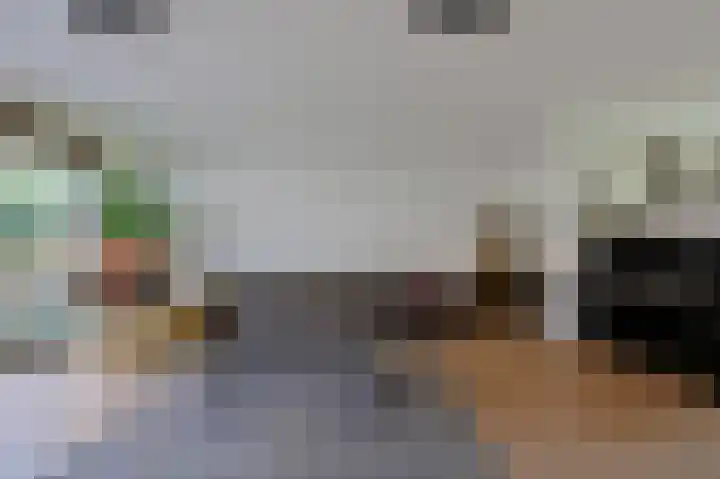 Dijkgraaf 53 Zwaag thumbnail 4