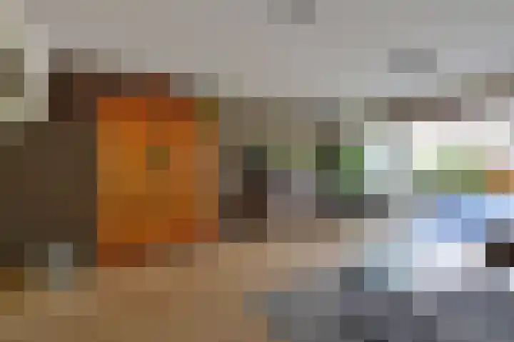 Dijkgraaf 53 Zwaag thumbnail 5