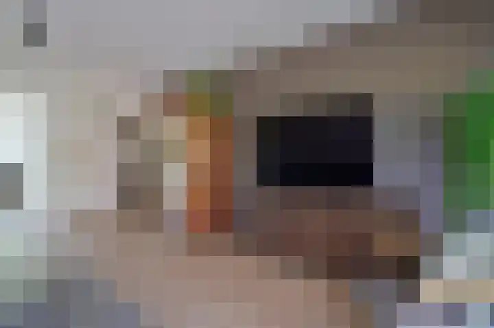 Dijkgraaf 53 Zwaag thumbnail 6