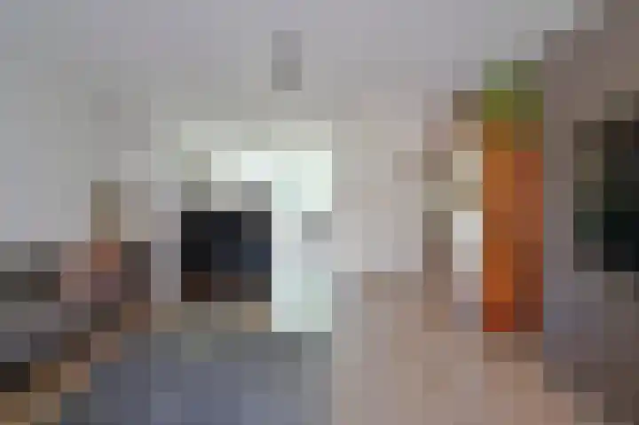 Dijkgraaf 53 Zwaag thumbnail 7