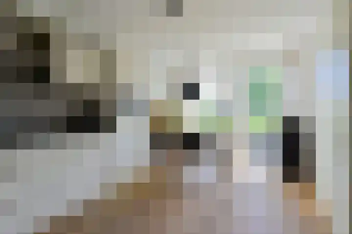 Dijkgraaf 53 Zwaag thumbnail 9