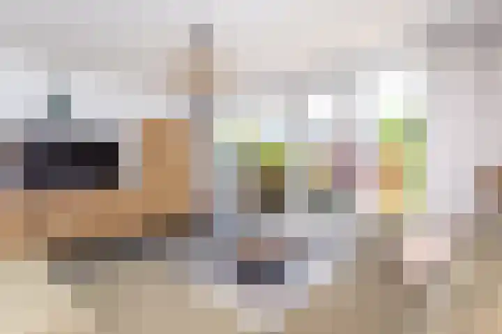 Dijkgraaf 54 Zwaag thumbnail 12