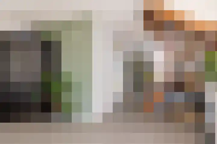 Dijkgraaf 54 Zwaag thumbnail 14