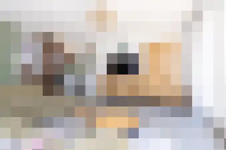 Dijkgraaf 54 Zwaag thumbnail 17