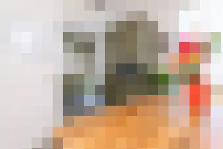 Dijkgraaf 54 Zwaag thumbnail 19