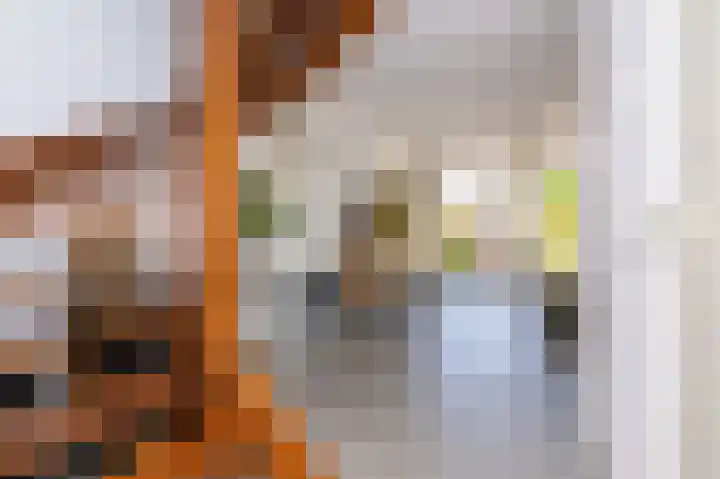 Dijkgraaf 54 Zwaag thumbnail 25