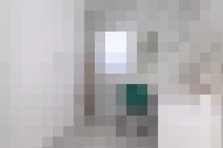 Dijkgraaf 54 Zwaag thumbnail 31