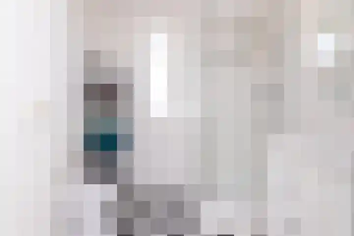 Dijkgraaf 54 Zwaag thumbnail 33
