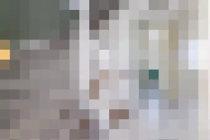 Dijkgraaf 54 Zwaag thumbnail 35