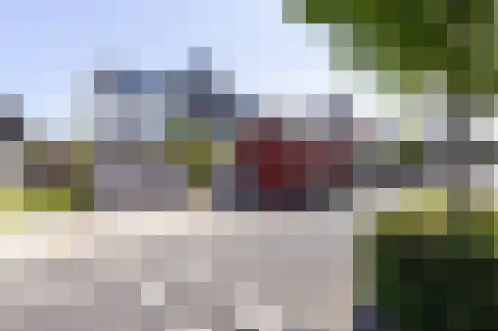 Dijkgraaf 54 Zwaag thumbnail 38