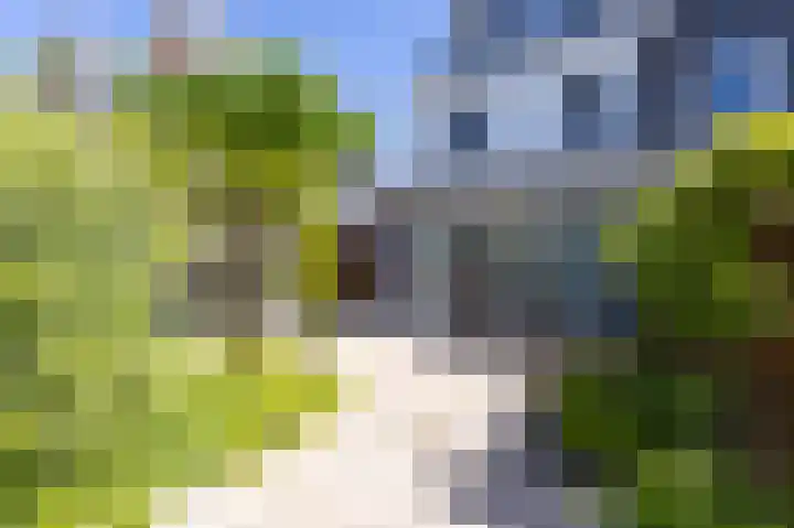 Dijkgraaf 54 Zwaag thumbnail 39
