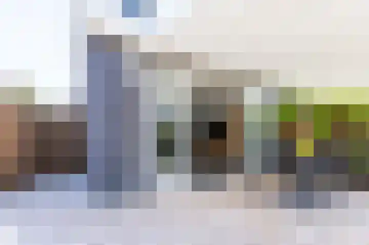 Dijkgraaf 54 Zwaag thumbnail 40