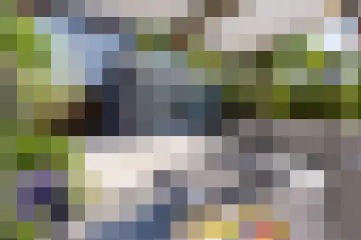Dijkgraaf 54 Zwaag thumbnail 41