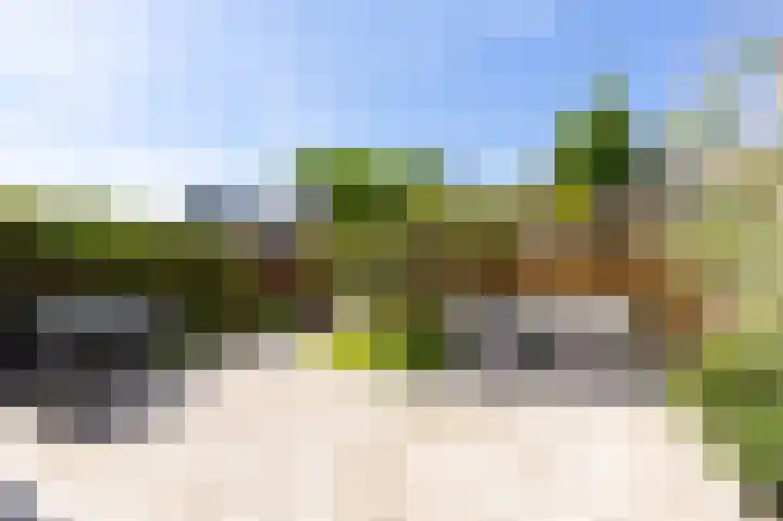 Dijkgraaf 54 Zwaag thumbnail 42
