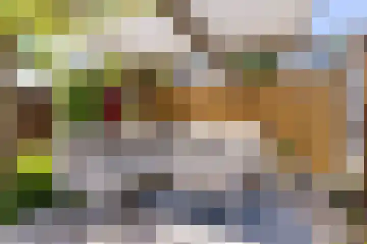 Dijkgraaf 54 Zwaag thumbnail 43