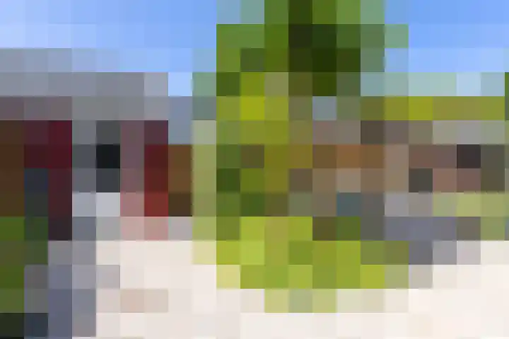 Dijkgraaf 54 Zwaag thumbnail 44