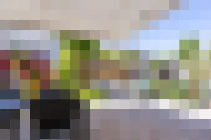 Dijkgraaf 54 Zwaag thumbnail 45