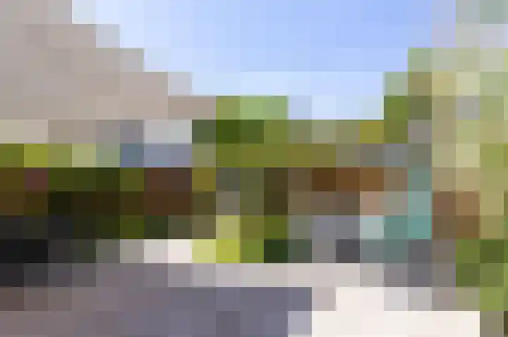 Dijkgraaf 54 Zwaag thumbnail 46