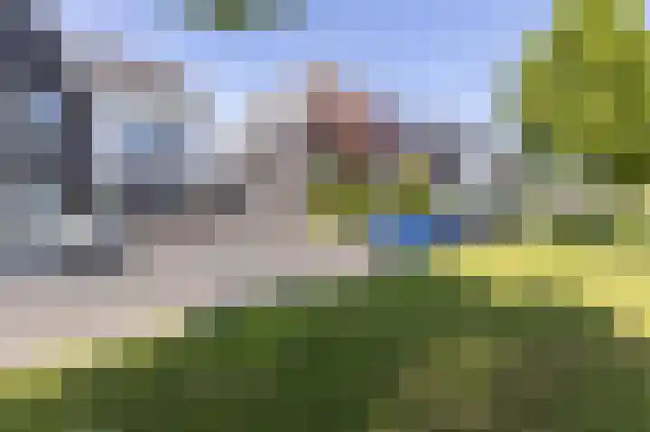 Dijkgraaf 54 Zwaag thumbnail 5