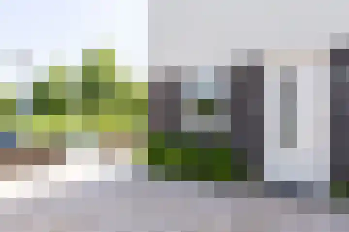 Dijkgraaf 54 Zwaag thumbnail 8