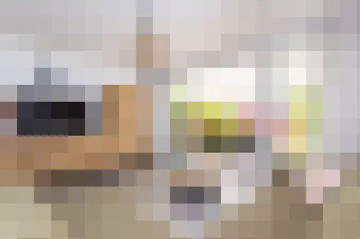 Dijkgraaf 54 Zwaag thumbnail 9